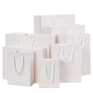 Custom Printed White Brown Paperboard Bag for Clothes Shoes Gifts Lamination Ribbon Handles Socks Fur Packaging Recycled
