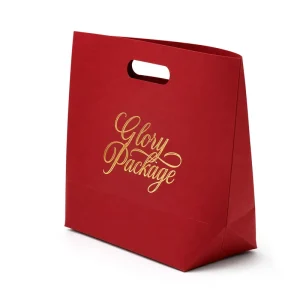 Custom Side Gusset Specialty Paper Shopping Bag with Die Cut Handle and Gold Foil Logo for Fashion Retail Packaging