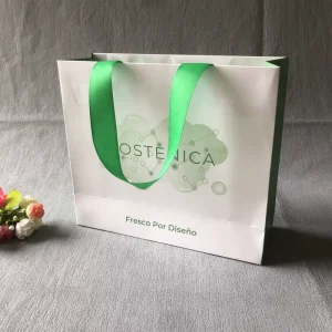 Custom White Glossy Paper Small Bag Luxury Shopping Bag with Ribbon Handle Printing Colorful Logo for Jewelry Packaging