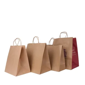 Customised Brown Kraft Recyclable Luxury Twisted Handles Flexo Printed Paper Shopping Bag for Clothing Shoes