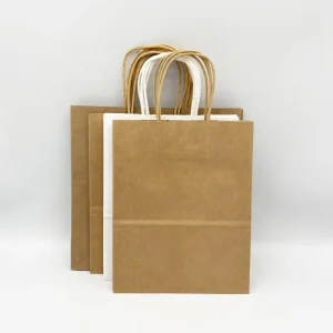 Customizable Biodegradable Eco-Friendly Brown Kraft Paper Bags with Printed Designs for Shopping