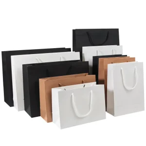 Customized Biodegradable Luxury Multifunction Promotion Cardboard Handle Bags with Kraft Craft Paper