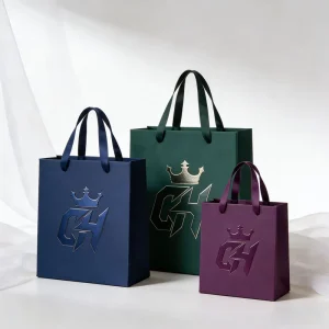 Customized Brand Printed Embossed Logo Luxury Boutique Wig Jewelry Shopping Hard Paper Gift Bag With Ribbon Handle