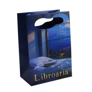 Customized Die Cut Biodegradable and Durable Paperboard Hand Held Shopping Book Gift with Shopping Paper Bags