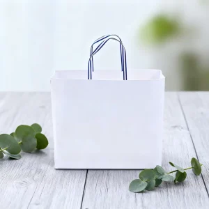 Customized Eco Friendly Kraft Paper Shopping Bags Custom Printed with Your Logo