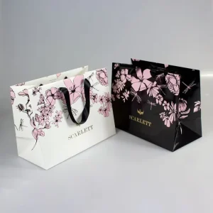 Customized Paper Gift Bags, Printed Recycling Clothes and Shoes Packaging, Luxury Fashionable Clothing Shopping Bag with Ribbon Hl