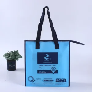 DLBZ High Quality Multi function Foldable Reusable Versatile Water resistant Large Customizable Non woven Business Shopping Bag