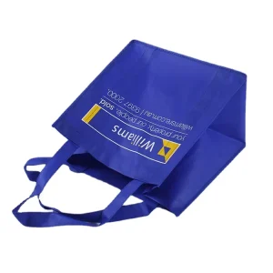 DLBZ OEM ODM Durable Trendy Large Box Shape Recyclable Fashion Promotional Custom Non woven Bag for Grocery Shopping