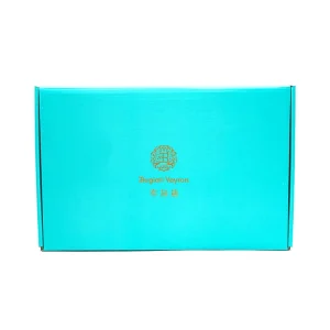 Design Gift Corrugated Packaging Shipping Mailer Luxury Delicate Appearance Folding Paper Offset Printed Craft