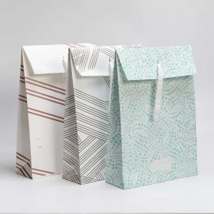 Eco Friendly Coated Paper Shopping Bag with Digital Printing Reusable Ribbon Handles for Boutique Gift Promotion