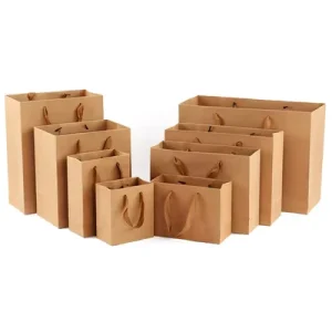 Eco Friendly Custom Printed Kraft Paper Bags With String Handles for Boutique Clothing