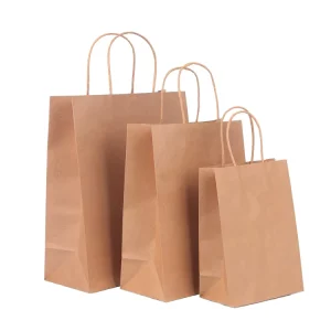 Eco Friendly Customizable Kraft Paper Gift Bags with Round Rope Handles for Shopping Packaging and Promotions