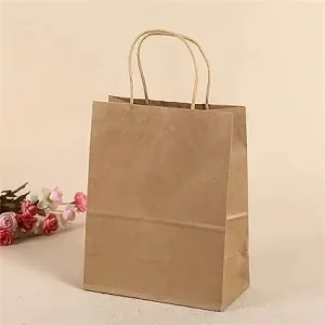 Eco Friendly Kraft Paper Bag with Custom Logo Printing and Multiple Colors