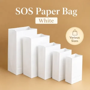 Eco Friendly Organic Retail Gift Shop Exquisite Classic Plastic-free Eco-friendly Biodegradable Kraft Block Bottom Paper Bag