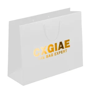 Eco Friendly Paper Bags for Clothing Private Brand Logo Recyclable Supermarket Promotion