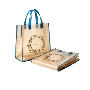 Eco Friendly Plastic Hand Shopping Bag Waterproof Portable Grocery Tote Bag
