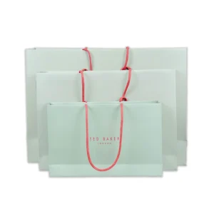 Eco Friendly Recyclable Luxury Cardboard Paper Custom Printed Logo Matte Mint Green Gift Bags Reinforced Cotton Handles