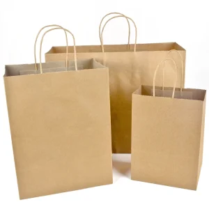 Eco Friendly Reusable Kraft Paper Bags with Embossed Twisted Handles Recyclable Shopping Gift Bags