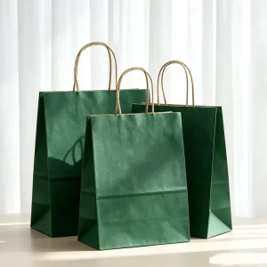 Eco Kraft Shopping Carrier Bag Custom Print Logo Handheld Gift Pack Retail Use