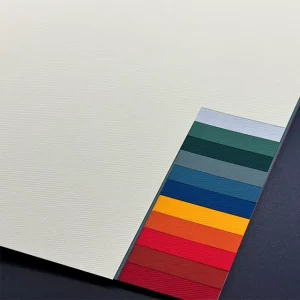Embosser Card Bristol Board Paper Texture Sheet in Embossed Specialty Color Paper & Paperboards Product Category