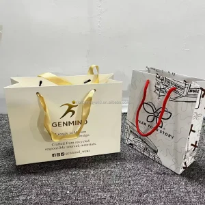 Excellent Quality Best Selling Promotional Luxury Reusable Recyclable Shopping Gift Paper Bag Your Own Logo