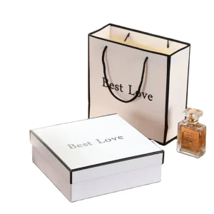 Excellent Quality Best Selling Promotional Luxury Reusable Shopping Gift Aseptic Art Paper Bags with Ribbon Custom Printed Logo