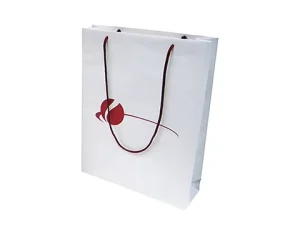 FOCUS Classic Style 250gsm Thick Paper Shopping Gift Bags with Handle Customized Color Logo Digital Printed Promotional Gift Bag