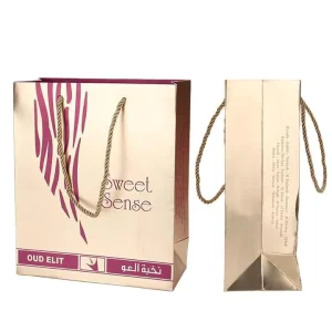 FSD Promotional Product Colorful Birthday Gifts Bag Recyclable Clothing Shopping Bag Paper Bags Kraft