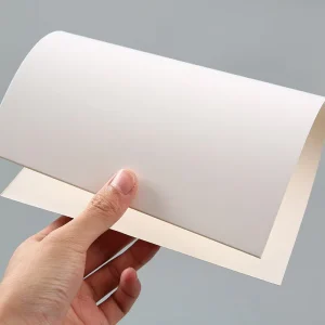 Factory Direct High Bulk 215gsm 250gsm 325gsm APP Paper FBB C1S Ivory Board in Sheet Recyclable for Packaging