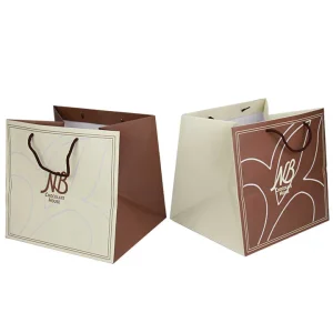 Factory Direct Sale Food Gift Shopping Paper Bags Accept Customized Color Size Logo with Ribbon Handle for Packaging