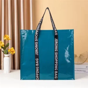 Factory Film covered Color Printing Plastic Woven Shopping Bag Travel Portable PP Handbag Gift Handbag