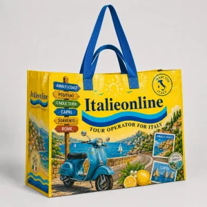 Factory Oversize Plastic PP Woven Bag Grocery Bag Shopping Boat Shape Bag with Custom Logo