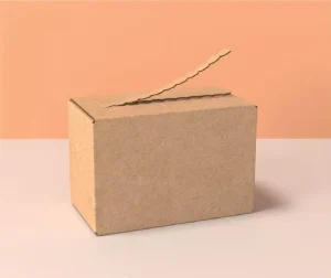 Free Design Luxury Paper Packaging Custom Full Color Corrugated Zipper Mailer Boxes Recycled Materials Tear Off Strip Shipping