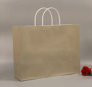 Fruit Paper Bag