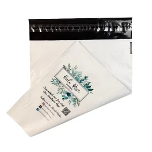 Full Size Postage Express Courier Mailer Mailing Bag for Clothing Custom Printed LDPE Resealable Self Adhesive Seal