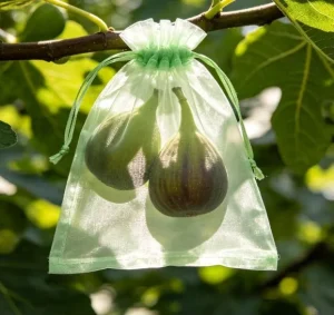 Green Organza Drawstring Bags 9x12cm (3.54″x4.72″) Customizable Gift Garden Fruit Protection Anti Insect Bird