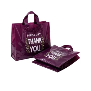 Grocery Plastic Shopping Bag Custom Print Plastic Handle Bag for Supermarket