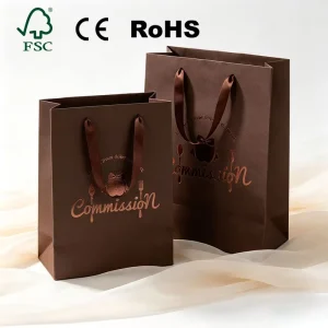 Heavy Duty Custom Printed Art Paper Shopping Bag for Luxury Apparel Clothing Boutique Gift Book with Reinforced Ribbon Rope