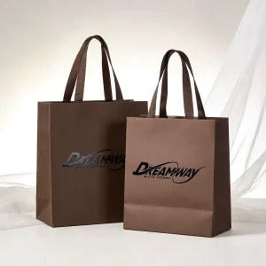 High End Custom Paper Gift Bag With Logo Printed Shopping Packaging Bag Matte Finish Rigid Paper for Boutique Jewelry Perfume