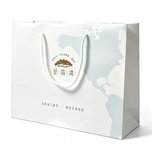High End White Matte Shopping Bags Custom Durable Rope Handle Paper Bag with Custom Graphic Printing Paper Gift Bag