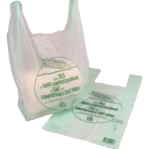 High Quality Biodegradable PLA Plastic Bags Packing Bag
