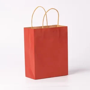 High Quality Custom Printed Biodegradable Recyclable Kraft Paper Bags with Handles for Supermarket Shopping and Promotions