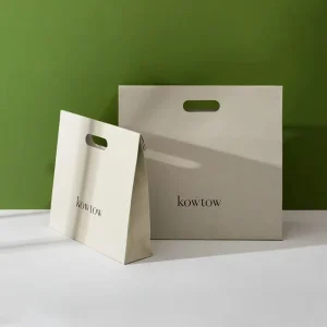 High Quality Luxury White Paper Shopping Bags Customized Die Cut Handle Paper Gift Bags