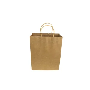 High Quality OEM Custom Paper Bag Full Color Printing Kraft Paper Bag Eco Friendly Paper Gift Bag