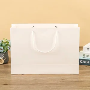 High Quality Recyclable Cardboard Paper Shopping Bags Rope Handles for Promotion Supermarket Exhibition Use Bulk