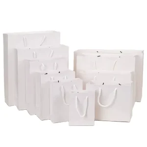 High Quality Square Bottom Paperboard Bags with Recyclable and Biodegradable Handles