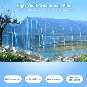 High Transparency PO Greenhouse Film 100% Virgin Material UV Protection Anti Fog Durable Agricultural Plastic