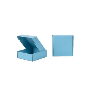 Hot Selling Custom Reusable Sponge Lined Eco Friendly Corrugated Airplane Shaped Folders Clothing Packaging Shipping for Small