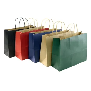 Lightweight Recyclable Kraft Twisted Cord Handle Minimal Solid Tone Wedding Guest Favor Kraft Paper Bag