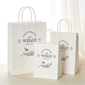 Logo Printed Shopping Clothing Kraft Bag for Retail Stores Promotional Events Eco Friendly Reusable Various Size Kraft Paper Bag